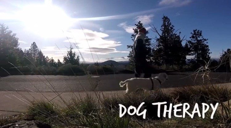 Dog Therapy with Jaymo, Ruby-Doo a Grill Mount and a GoPro